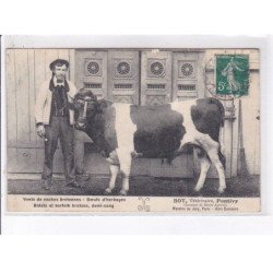 PONTIVY: vente de vaches bretonnes, boeufs d'herbage, Bot, vétérinaire - état