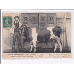 PONTIVY: vente de vaches bretonne, boeufs d'herbage, Bot vétérinaire - état