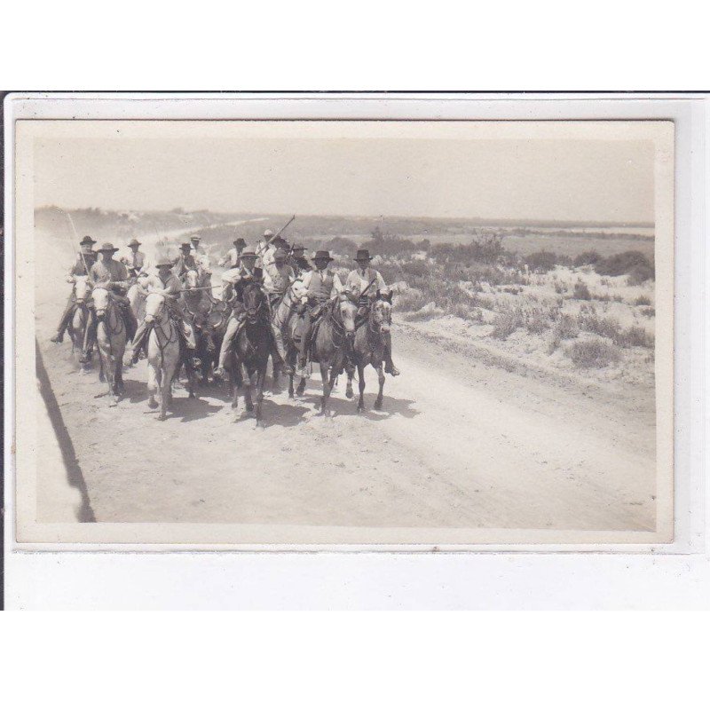 GUARDIANS: cavalier - très bon état