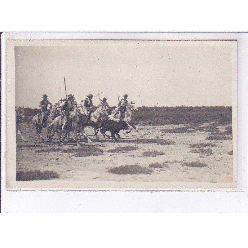 GUARDIANS: cavalier - très bon état