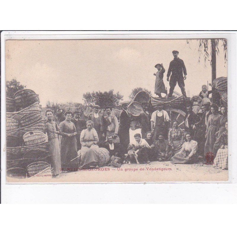 NUITS-SAINT-GEORGES: un groupe de vendangeuses - très bon état