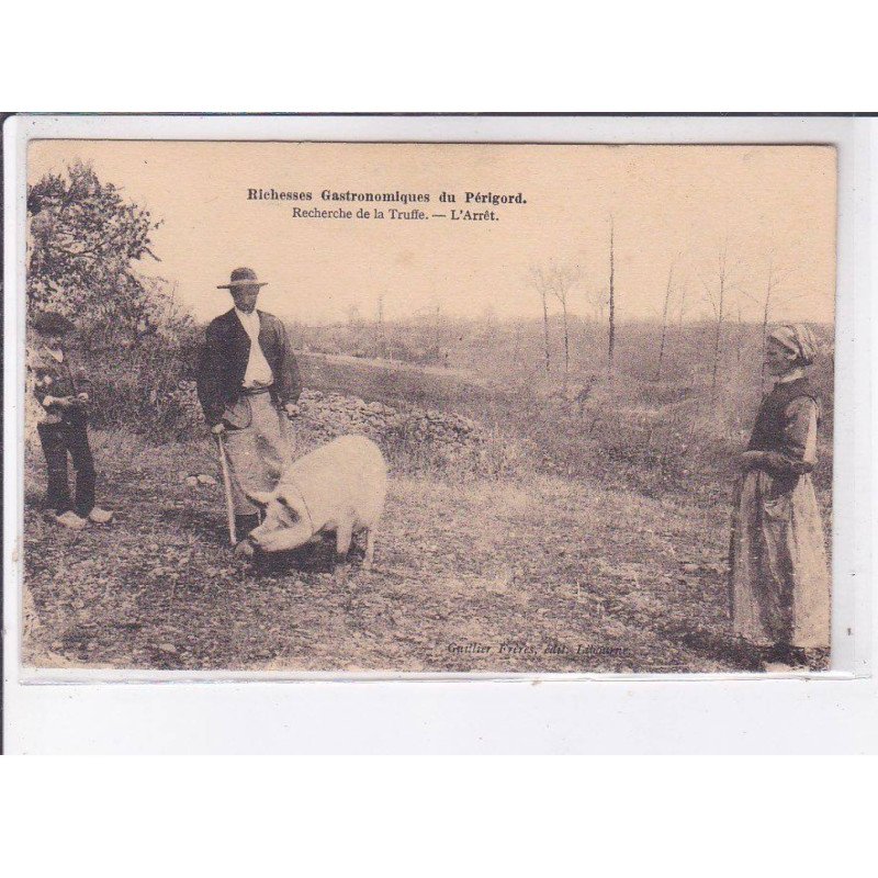PERIGORD: recherche de la truffe, l'arrêt, champignons, porc - très bon état