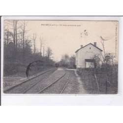 PAUKMY: un train arrivant en gare - très bon état