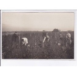 VOUVRAY: vendanges - très bon état