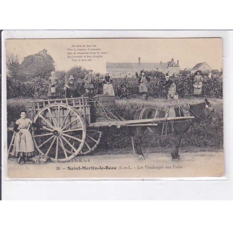 SAINT-MARTIN-le-BEAU: les vendanges aux evees - très bon état