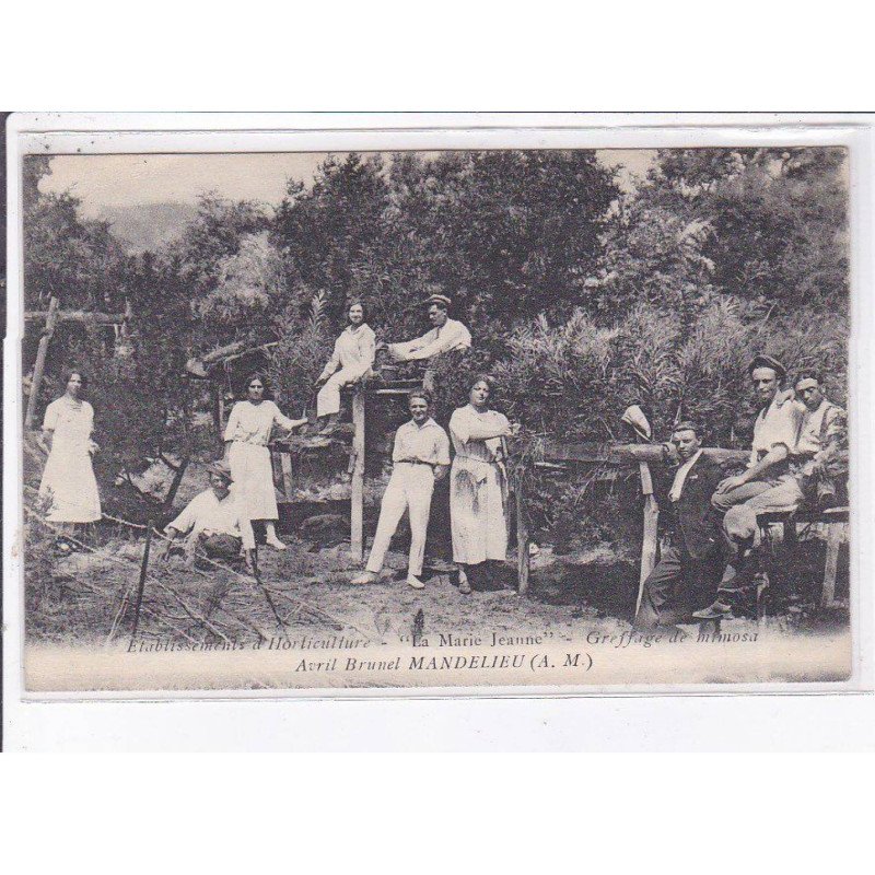 MANDELIEU: établissements d'horticulture "la marie jeanne" - très bon état