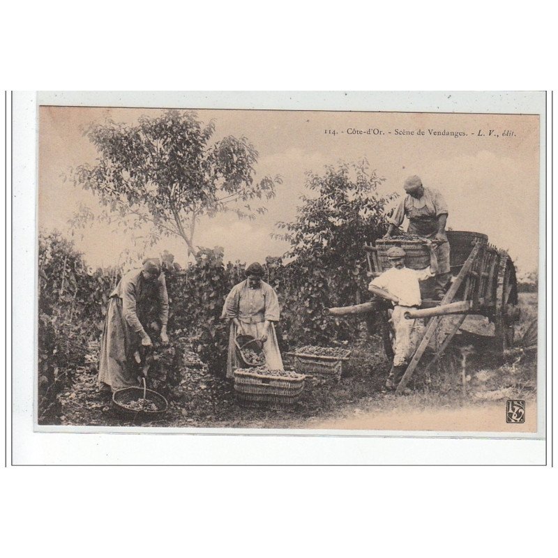 COTE D'OR - Scène de vendanges - très bon état