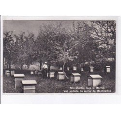 MONTFEURTON: nos abeilles dans le morvan, vue partielle du rucher - très bon état