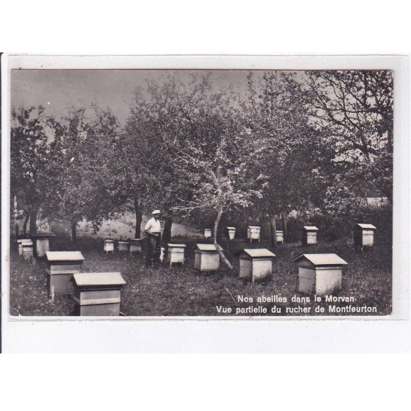 MONTFEURTON: nos abeilles dans le morvan, vue partielle du rucher - très bon état