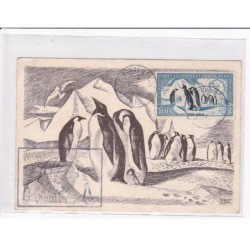 POLAIRE : lot de 11 cartes postales et 1 devant de lettre dont 6 avec l'autographe de Paul Emile Victor - bon état