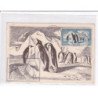 POLAIRE : lot de 11 cartes postales et 1 devant de lettre dont 6 avec l'autographe de Paul Emile Victor - bon état