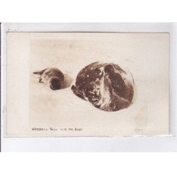 POLAIRE: weddell seal and her baby, expédition byrd - très bon état