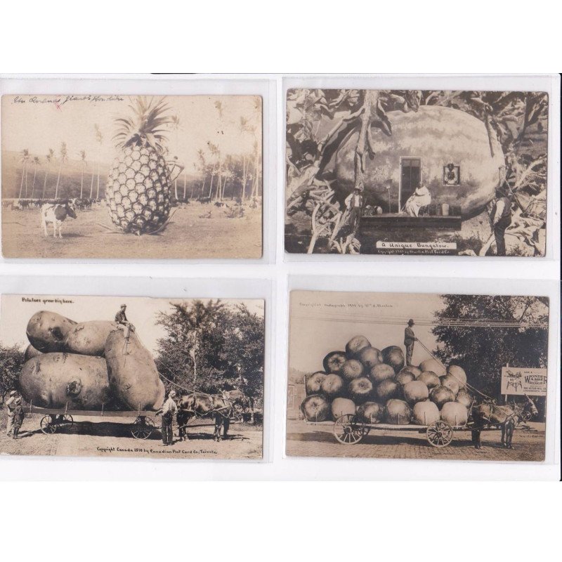 SURREALISME / photomontage : lot de 16 cartes postales de fruits géants ! (giants fruits) - très bon état