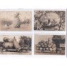 SURREALISME / photomontage : lot de 16 cartes postales de fruits géants ! (giants fruits) - très bon état