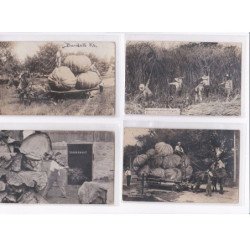 SURREALISME / photomontage : lot de 16 cartes postales de fruits géants ! (giants fruits) - très bon état