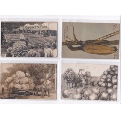 SURREALISME / photomontage : lot de 16 cartes postales de fruits géants ! (giants fruits) - très bon état