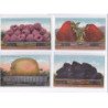SURREALISME / photomontage : lot de 17 cartes postales de fruits géants ! (giants fruits Mitchell) - très bon état