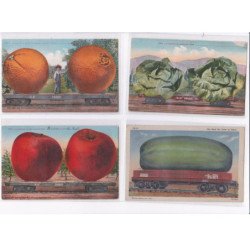 SURREALISME / photomontage : lot de 17 cartes postales de fruits géants ! (giants fruits Mitchell) - très bon état