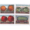 SURREALISME / photomontage : lot de 17 cartes postales de fruits géants ! (giants fruits Mitchell) - très bon état