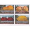 SURREALISME / photomontage : lot de 17 cartes postales de fruits géants ! (giants fruits Mitchell) - très bon état