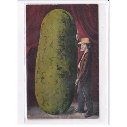 SURREALISME / photomontage : lot de 17 cartes postales de fruits géants ! (giants fruits Mitchell) - très bon état