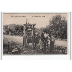 Le ferrage d'une vache dans l'Aveyron (maréchal-ferrant) - très bon état