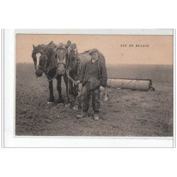 EN BEAUCE : superbe plan de chevaux au labour - très bon état