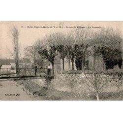BRIE-COMTE-ROBERT: ruines du château, la passerelle - très bon état