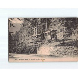 GERARDMER : Le Train en forêt - très bon état