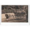LA FEUILLIE ? : carte photo d'un attelage - très bon état