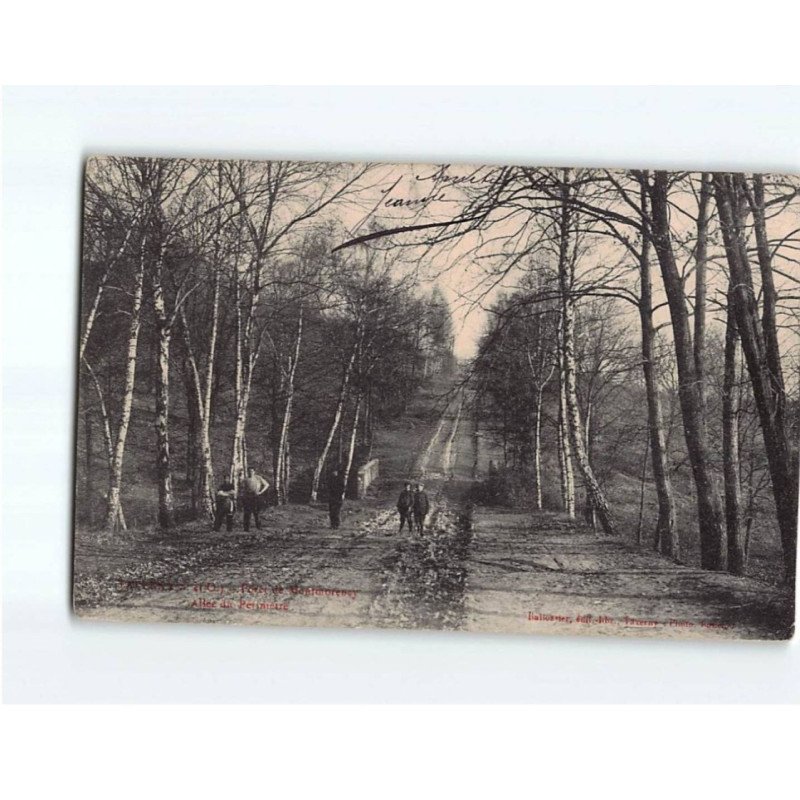 TAVERNY : Forêt de Montmorency, Allée du Périmètre - état TAVERNY : Forêt de Montmorency, Allée du Périmètre - état