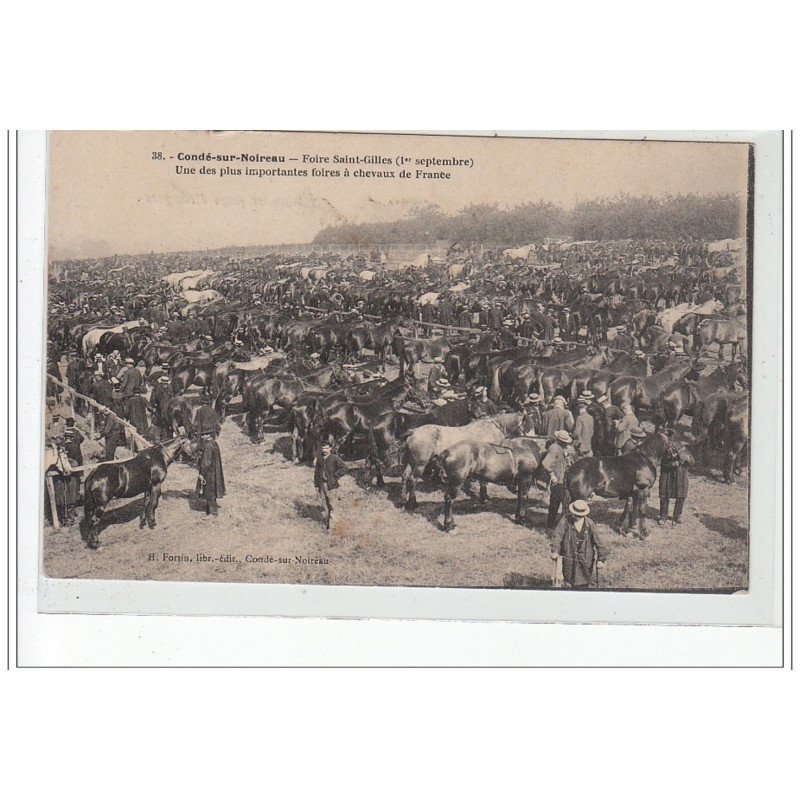 CONDE SUR NOIREAU - Foire Saint Gilles - Une des plus importantes foires aux chevaux de France - très bon état
