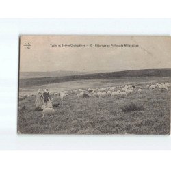 Types et Scènes Champêtres, Pâturage au plateau de Millevaches - état