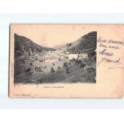 BONABE : Vue générale - état