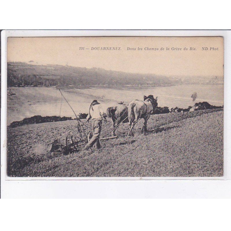 DOUARNENEZ: danse les champs de la grève du ris, neurdein, agriculture - très bon état