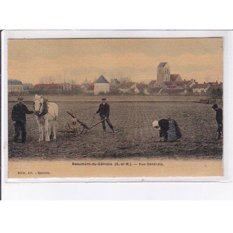 BEAUMONT-du-GATINAIS: vue générale, agriculture - très bon état
