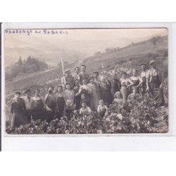 MARCHAMPT: vendanges "au paradis" - très bon état