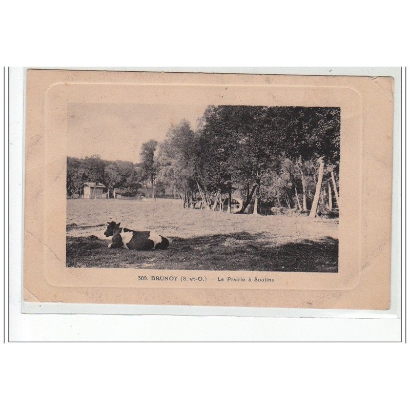 BRUNOY - La prairie à Soulins - très bon état
