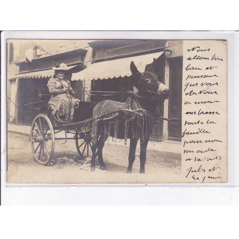 SAINT-RAMBERT-D'ALBON: attelage - très bon état