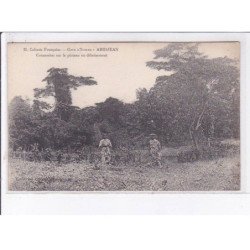 CÔTE D'IVOIRE: ABIDJEAN: concession sur la plateau en déboisement - très bon état