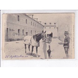 BIARRITZ: la reine d'espagne et son cheval favori - état