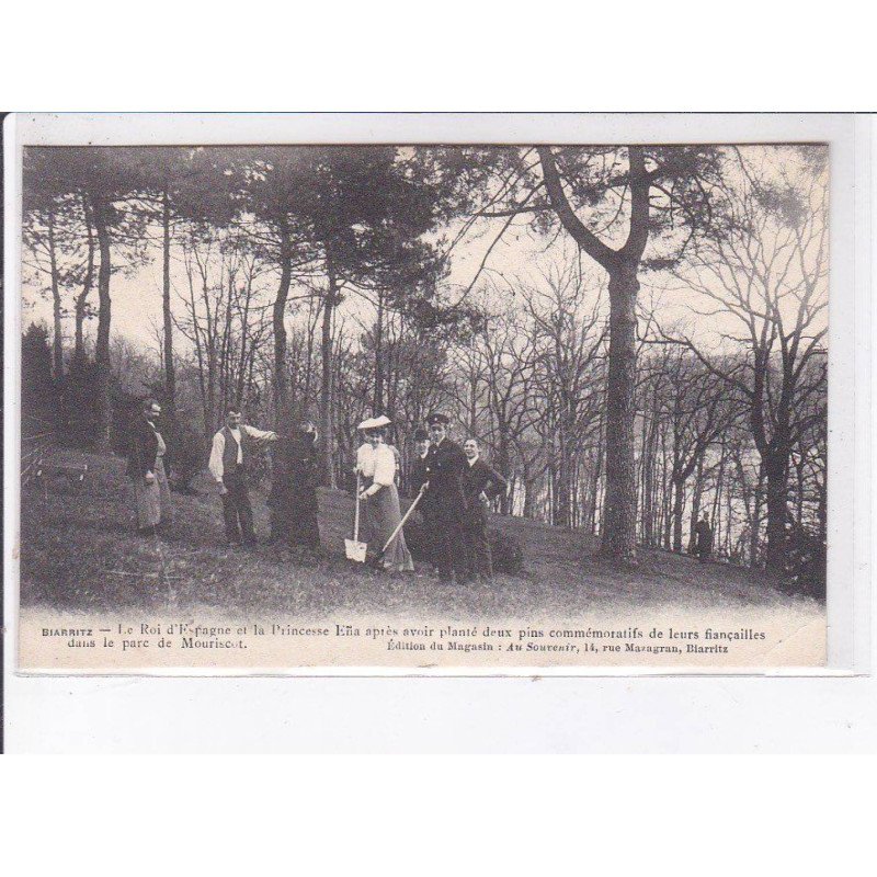 BIARRITZ: roi d'espagne et princesse Ena de battenberg plantant un sapin dans le parc de mouriscot - très bon état BIARRITZ: roi d'espagne et princesse Ena de battenberg plantant un sapin dans le parc de mouriscot - très bon état