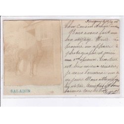 PERIGNY: cheval, saladin - très bon état