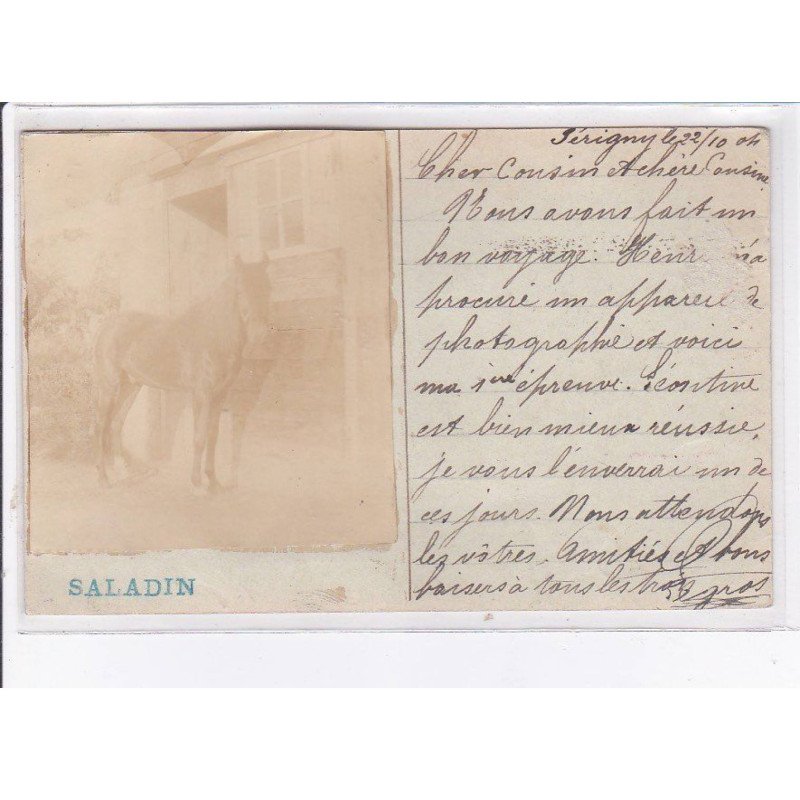 PERIGNY: cheval, saladin - très bon état