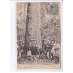 LEVIER: forêt de levier, le président, arbre - état