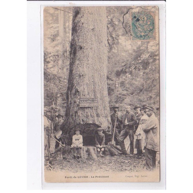 LEVIER: forêt de levier, le président, arbre - état
