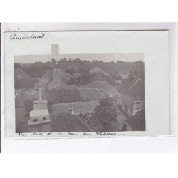 AMONDANSE: vue prise de la tour du château - très bon état