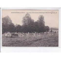 DAMPIERRE-en-BRAY: quartier d'hyaumet (pâturages moinet), ferme - très bon état