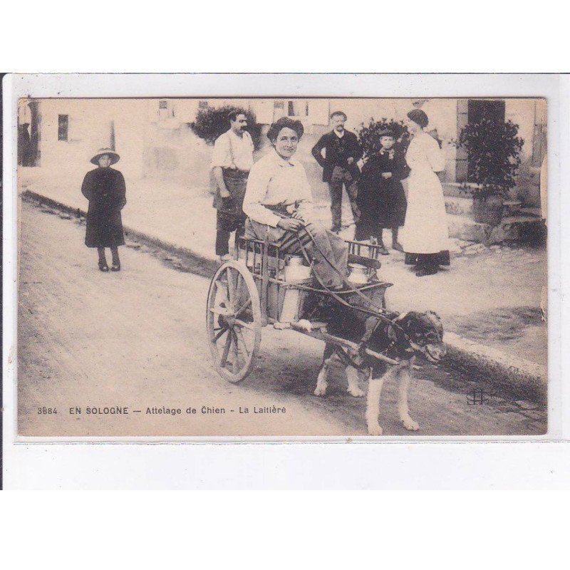 LOIR ET CHER: attelage de chien, la laitière, voiture à chien - très bon état