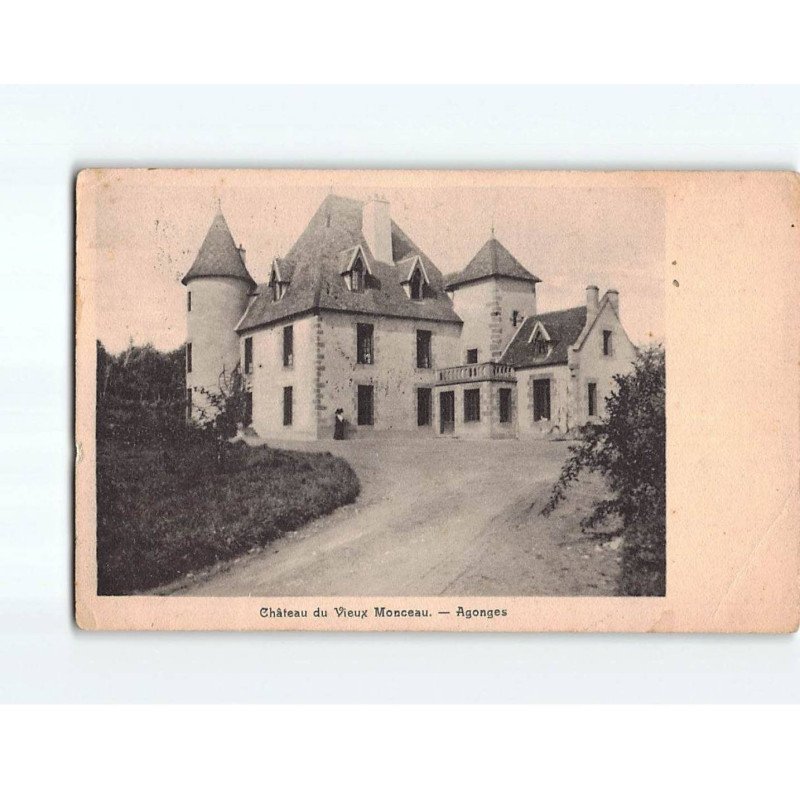 Château du Vieux Monceau, Agonges - état